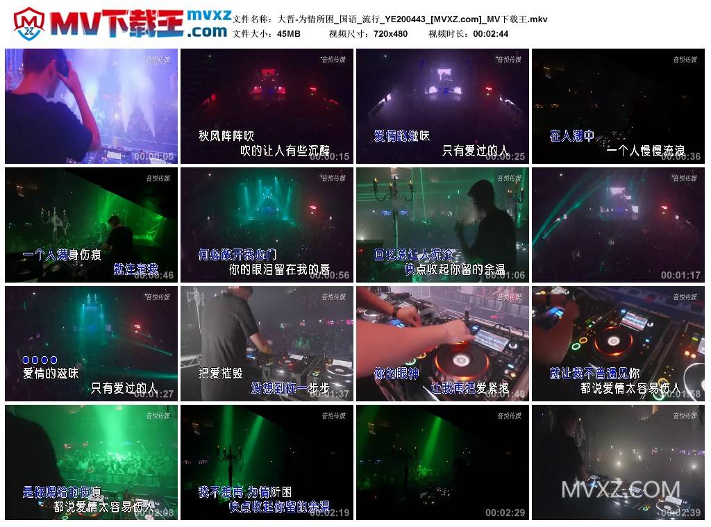 大哲-为情所困_国语_流行_YE200443